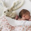 Personalized Stuffed Animal - Long Ear bunny