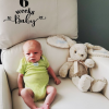 Personalized Bunny - in Baby Blue