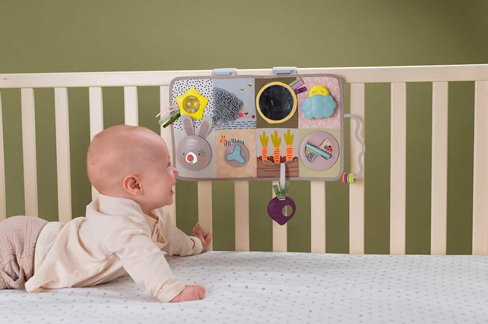 Developmental Activity Center by Taf Toys - Image 6