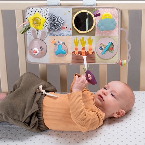 Developmental Activity Center by Taf Toys