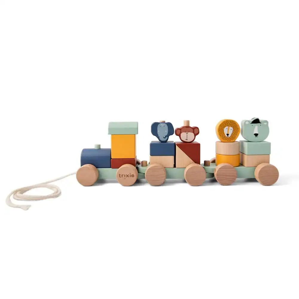 Personalized Animal Train - Image 4